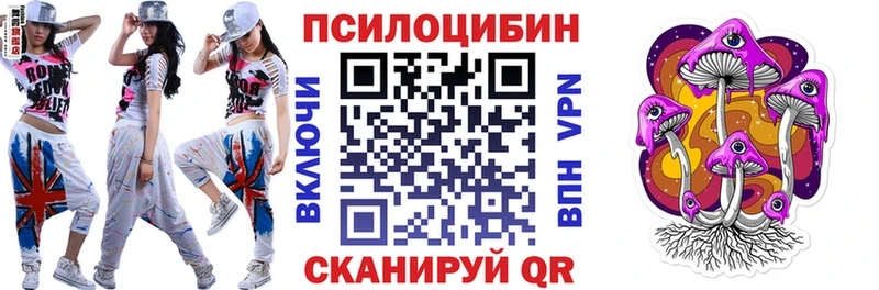 Галлюциногенные грибы Psilocybe  Сорск 